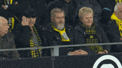 Borussia Dortmund Fans GIF