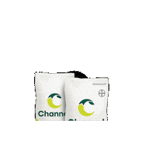Channelcorn Sticker by Channel Seed