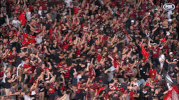 wswanderersfc football celebration goal wanderers GIF