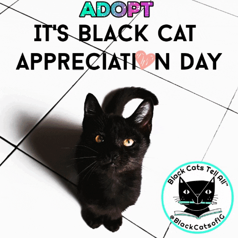 laylamorganwilde giphygifmaker adoptdontshop blackcats blackcatappreciationday GIF