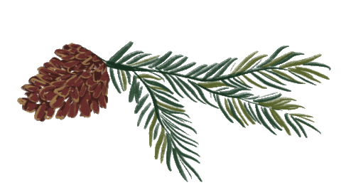 Let It Snow Christmas Sticker by mistletoe marketplace