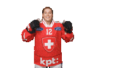 Celebrate Womens National Team Sticker by Swiss Ice Hockey