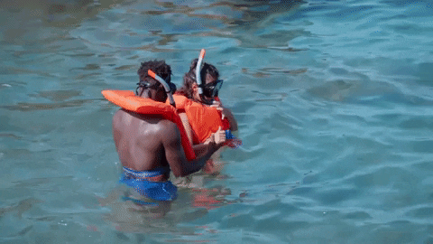 Bbc Iplayer Reality Tv GIF by BBC Three