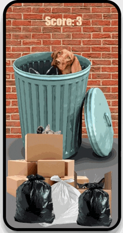 jaec1146 giphygifmaker GIF