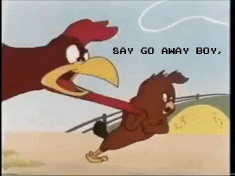 [Image: giphy.gif]