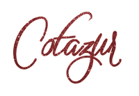 Logo Rainbow Sticker by Cotazur