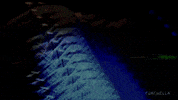 lcd soundsystem GIF by Coachella