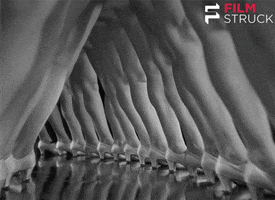 42nd street vintage GIF by FilmStruck