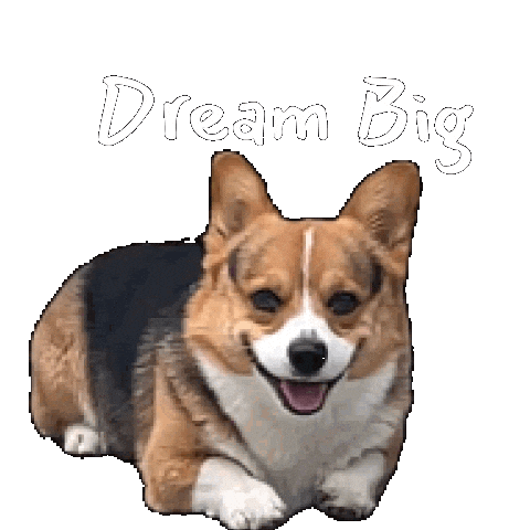 Dream Corgi Sticker