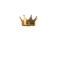Konings Sticker by Koningsfysiotraining