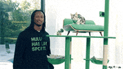 Todd Gurley Cat GIF by HULU