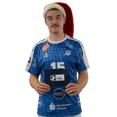 Handball Nowak Sticker by DAIKIN HBL