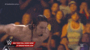 wwe sports wwe wrestling 2015 GIF