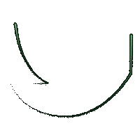 Trender neon vegas transparant breda Sticker