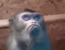 time years GIF