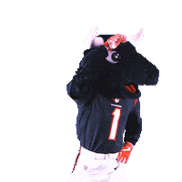 Look Around Football Sticker by Houston Texans