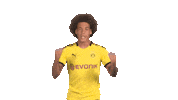Borussia Dortmund Love Sticker by Bundesliga