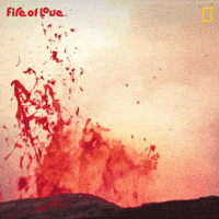 National Geographic Film GIF by Nat Geo Wild