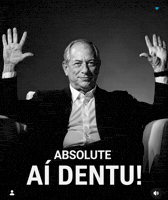Ciro Gomes GIF by Michel