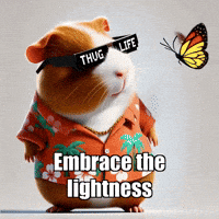 Butterfly Love GIF by Guinea Gambino