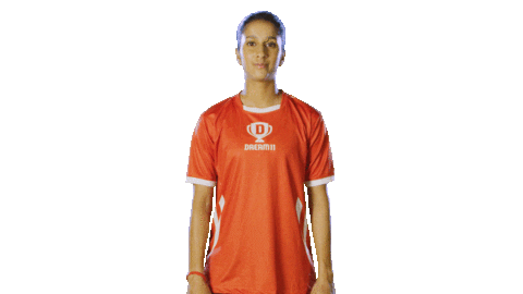 Team India Ipl Sticker by Dream11