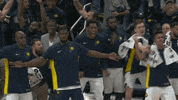 indiana pacers wow GIF by NBA