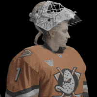 Goalie Lukas GIF by Anaheim Ducks
