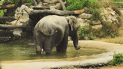 7 Eleven Vacation GIF by Jan Metternich