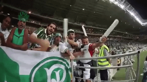 allianz parque GIF by SE Palmeiras