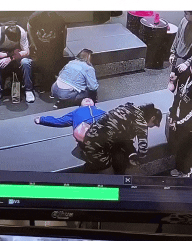 giphy.gif