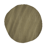 Dark Green Sticker Sticker by Mollie Suss