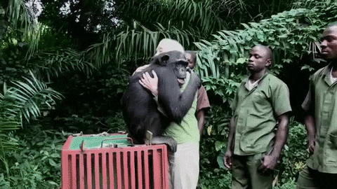 video hugs GIF