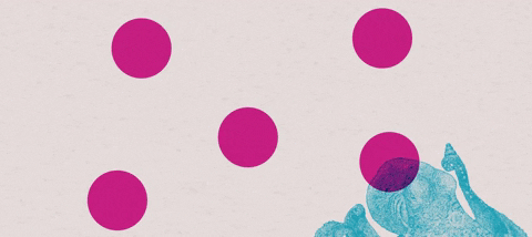 gustavoribeiro8843 giphyupload GIF