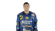 ekzellereisbaeren eishockey 29 alpshockeyleague zell am see Sticker