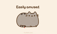 GIF by Pusheen