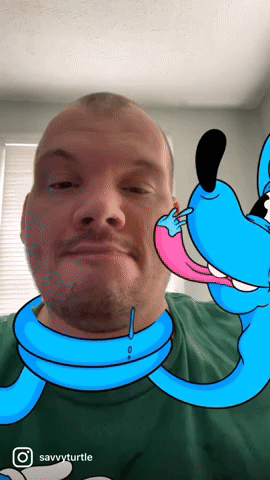 Savvy Turtle Blue Dog Reaction