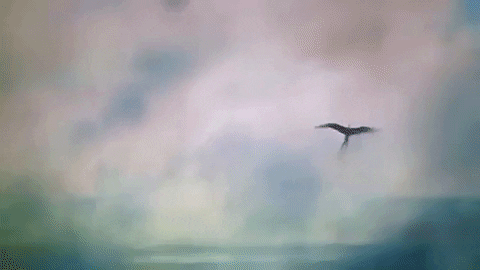 GIF by tomcjbrown