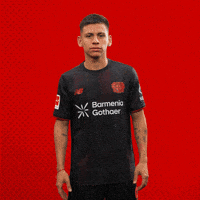 Bayer 04 Hello GIF by Bayer 04 Leverkusen