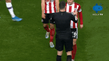 City Sheffieldunited GIF by MolaTV