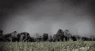 nuclear blast recordings GIF by Machine Head