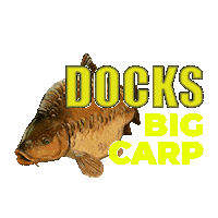 SensationalAnglingSupplies tackle carp docks fishingtackle Sticker