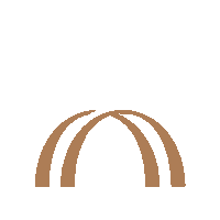 Sobriety Noalcohol Sticker by SolifeClub