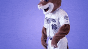 hotline bling baseball GIF by Kane County Cougars