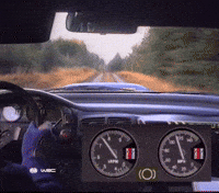 Motorsport Driving GIF by FIA World Rally Championship