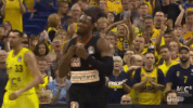 sport dunk GIF by easyCredit Basketball Bundesliga