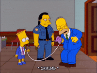 homer simpson GIF