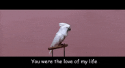 i love you life GIF