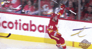 Celebrate Ice Hockey GIF by NHL