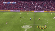 goal justin GIF by nss sports