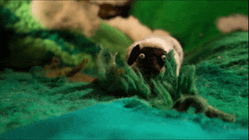Stop Motion Art GIF by Duilio Gatti